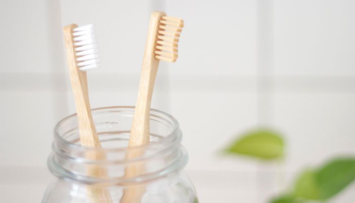 A Survey Into More Sustainable Ways to Practice Dental Hygiene
